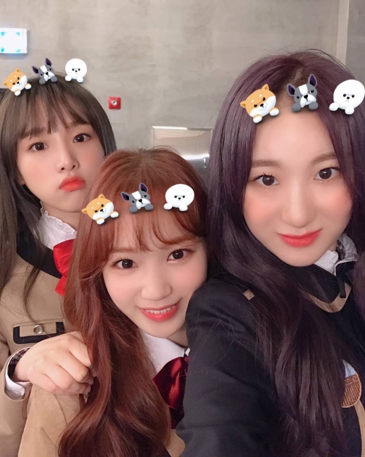 크리스마스라서 아이즈원 | 인스티즈