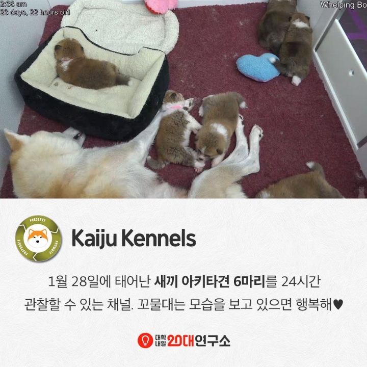 은근 쓸모있는 24시간 유튜브 채널들 | 인스티즈