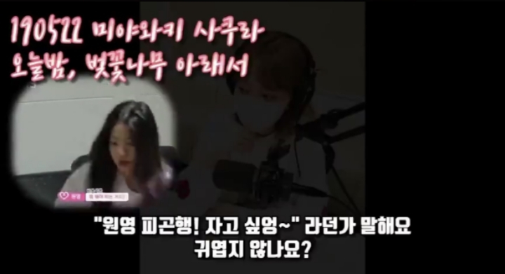 아이즈원) 사쿠라의 멤버 주접 1탄 (막내토끼 장원영) | 인스티즈