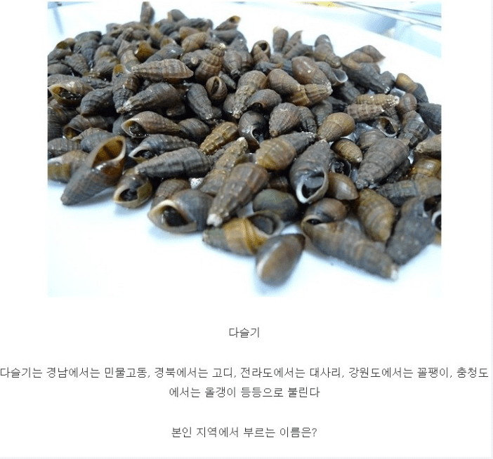 지역마다 부르는 이름이 다른거.jpg | 인스티즈