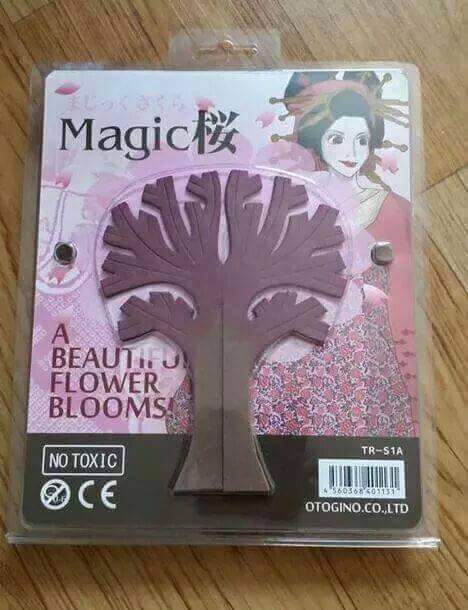 종이에서 피는 벚꽃 | 인스티즈