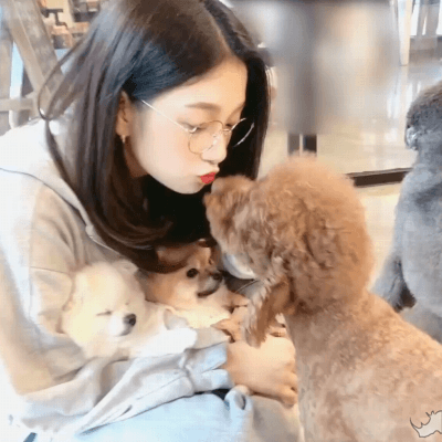 개놈이 부러워서 프로미스나인 이서연.gif | 인스티즈