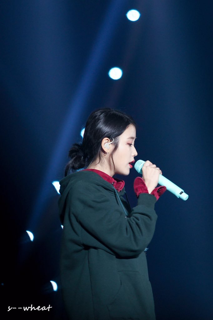 아이유 10주년 콘서트 in 서울.jpg | 인스티즈