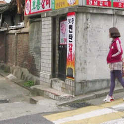 역관광 당하는 아이유.gif | 인스티즈