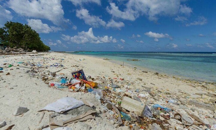 여행지의 이상과 현실 | 인스티즈