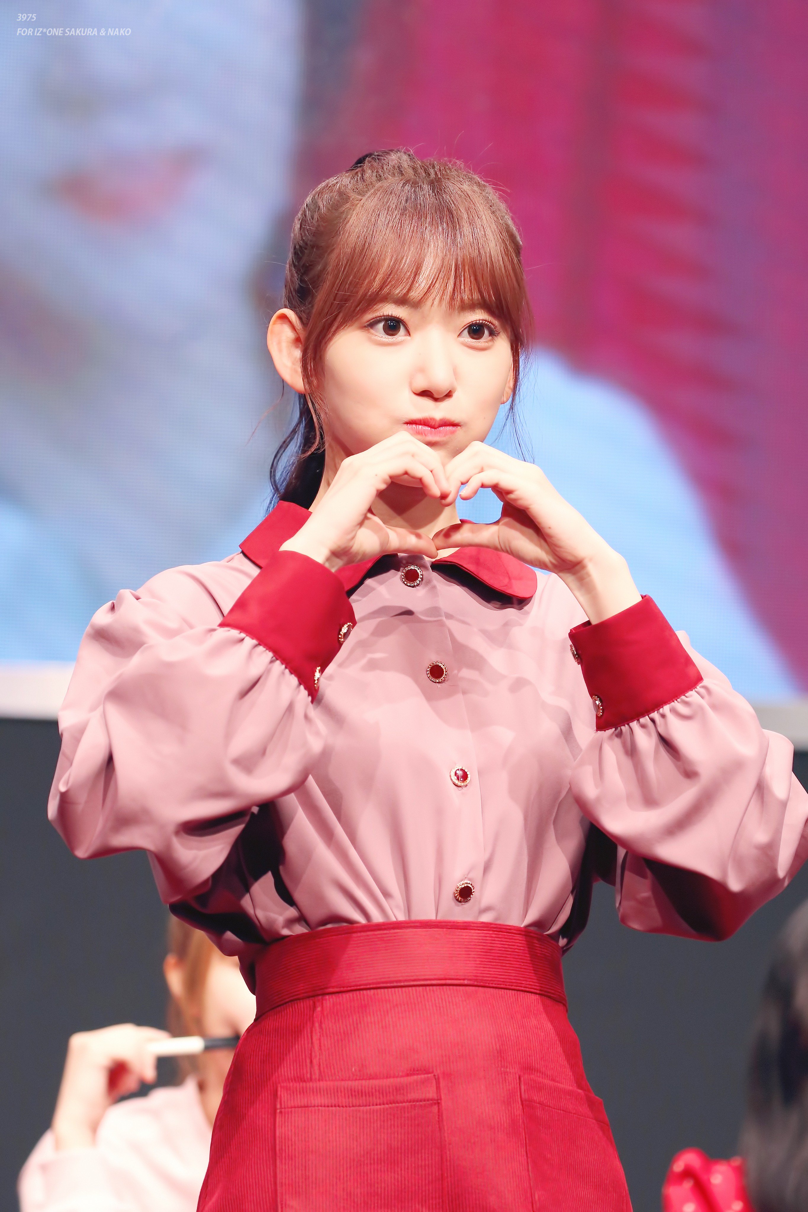포니테일이 잘어울리는 아이즈원 사쿠라.jpg | 인스티즈