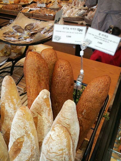 수원에서 제일 유명한 빵집.jpg | 인스티즈