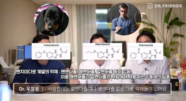 의사들이 말하는 펜벤다졸 | 인스티즈