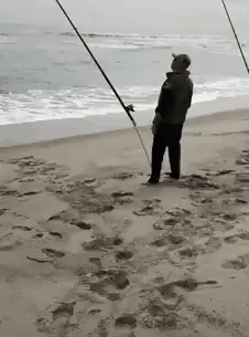 낚시하는 사람 낚시하는 법.gif | 인스티즈