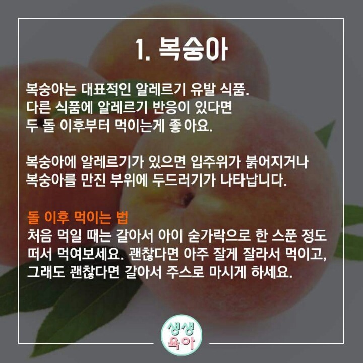돌전에 먹이면 안되는 음식 10가지 | 인스티즈