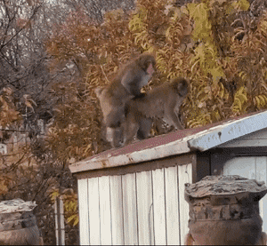 몰래 도촬하다 걸린 군인 | 인스티즈