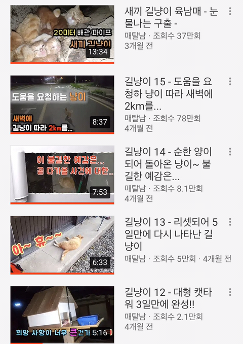 개인적으로 역대급 고양이 유튜버 | 인스티즈