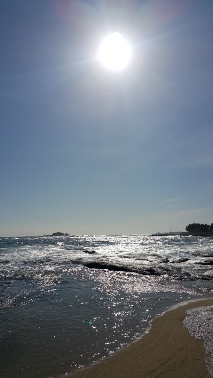 아래에 너무 멋진 사진이 있어서 저도 아무 사진 올려봄 (정말 아무 사진 주의) | 인스티즈