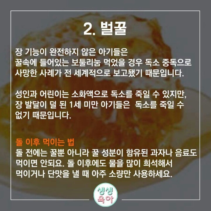 돌전에 먹이면 안되는 음식 10가지 | 인스티즈