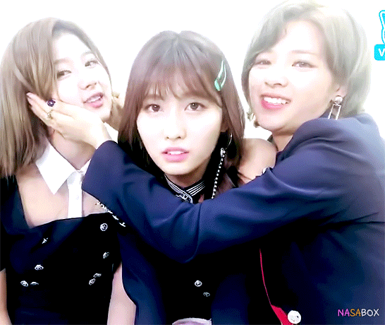 시바견을 좋아하는 정연이 | 인스티즈