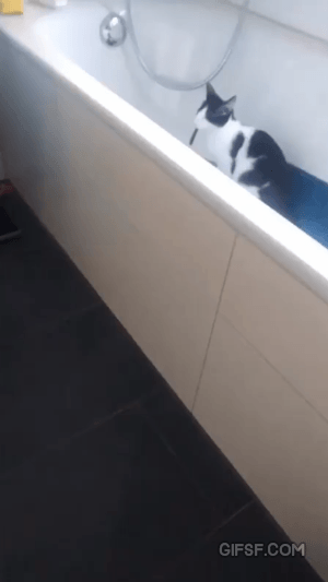 ??: 야이씨 거긴 안돼 | 인스티즈