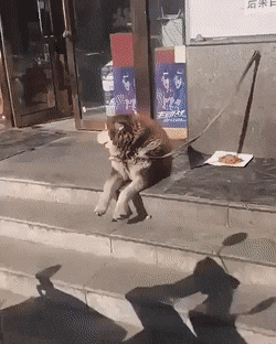 주인님 기다리는중 | 인스티즈