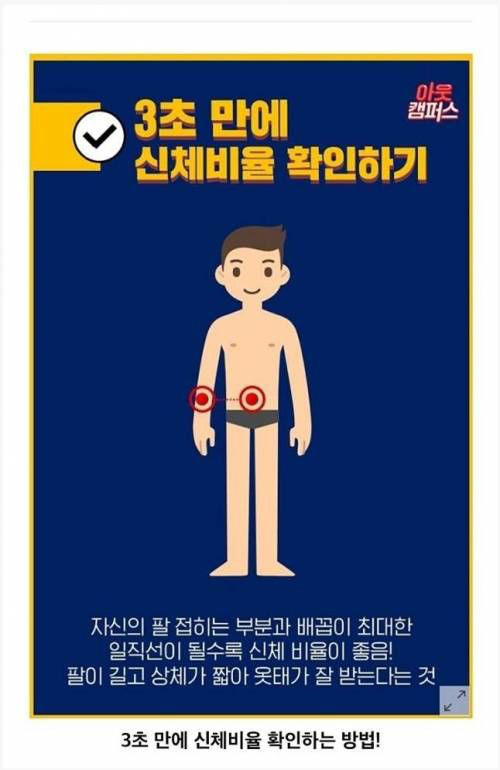 3초만에 신체비율 확인하기 jpg | 인스티즈