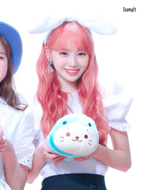 제가 좋아하는 김채원❤️ | 인스티즈