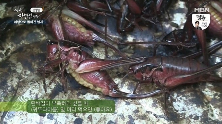 ??? : 너 이새끼 혼자 맛있는 거 먹으면서 꿀빨았겠다 | 인스티즈