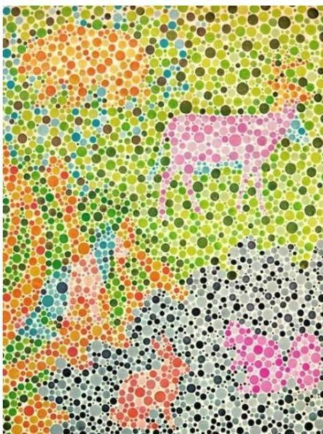 그림 한 장으로 알아보는 색약 테스트 | 인스티즈