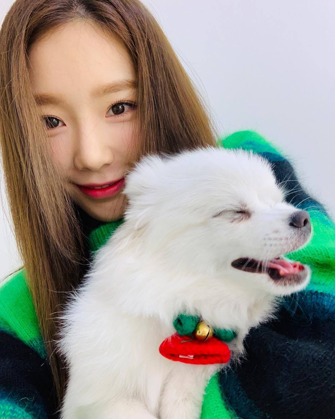 오늘자 태연 탱스타그램.jpg | 인스티즈