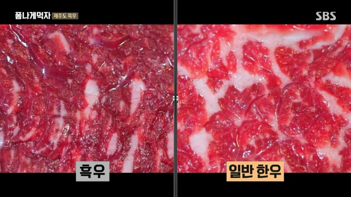 일본이 수탈해간 우리의 흑우.jpg | 인스티즈