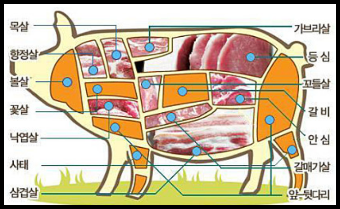 돼지고기 고르는 팁 | 인스티즈