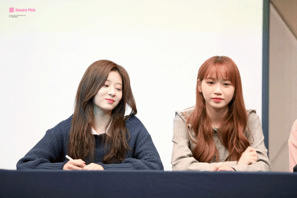 아이즈원) 싸우는 서열 1,2위 | 인스티즈