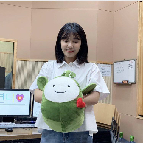 콩인형과 에이핑크 정은지.jpg | 인스티즈