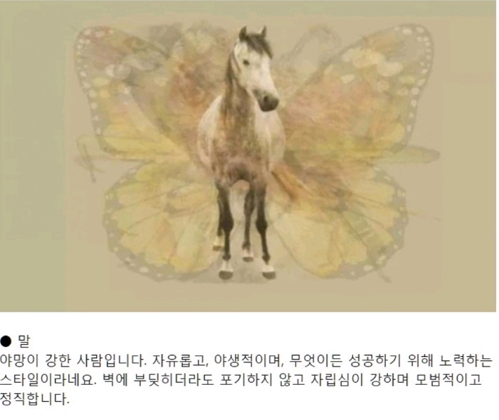 먼저 보이는 그림으로 하는 성격테스트.jpg | 인스티즈