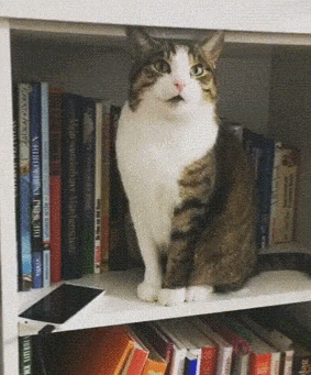 핸드폰이 잘 팔리는 아유 | 인스티즈