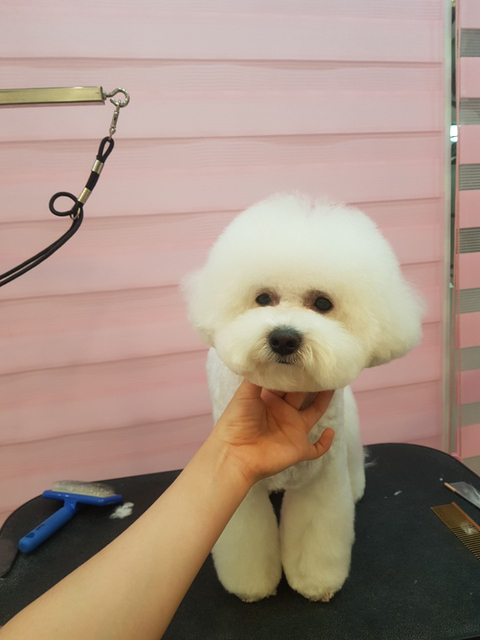 사리주유소 이미지