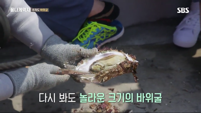 추자도 바위굴 먹는 트와이스 정연X다현.jpg | 인스티즈