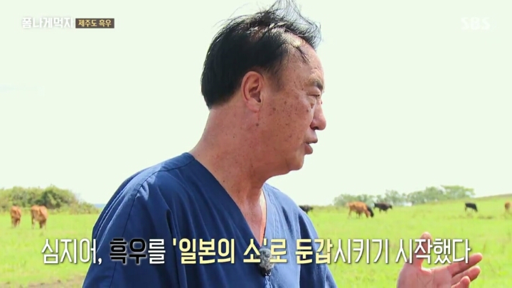 일본이 수탈해간 우리의 흑우.jpg | 인스티즈