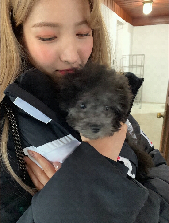 여자친구 일본 공식 트위터 쇠💖먼지 | 인스티즈