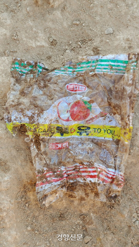 1500년전 가야무덤에서 발굴된 것 | 인스티즈