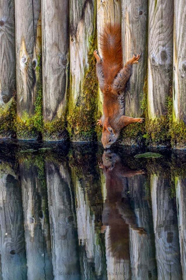 물만 먹고 가지요.jpg | 인스티즈