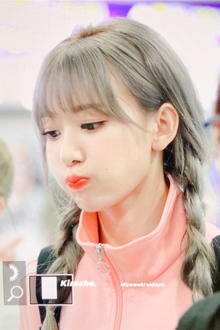 양갈래 머리 한 사쿠라씨.... | 인스티즈