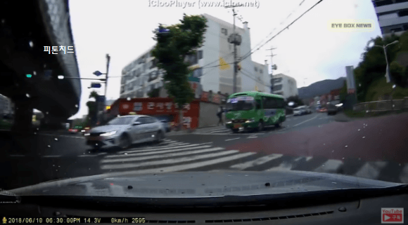 당당한 무단횡단.gif | 인스티즈