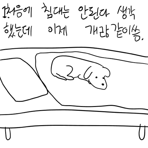 개 키우는 사람 공감.jpg | 인스티즈