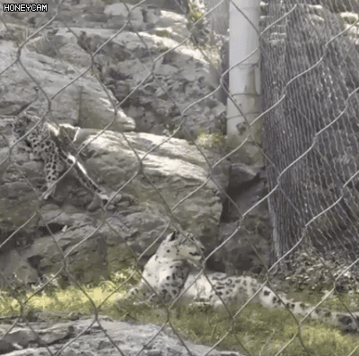 아빠한테 애를 맡기면 안되는 이유 | 인스티즈