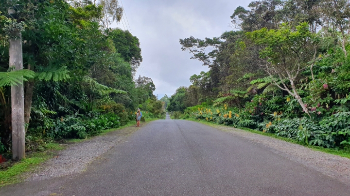 사촌누나 결혼식 참가하러 가서 찍은 하와이 사진 | 인스티즈