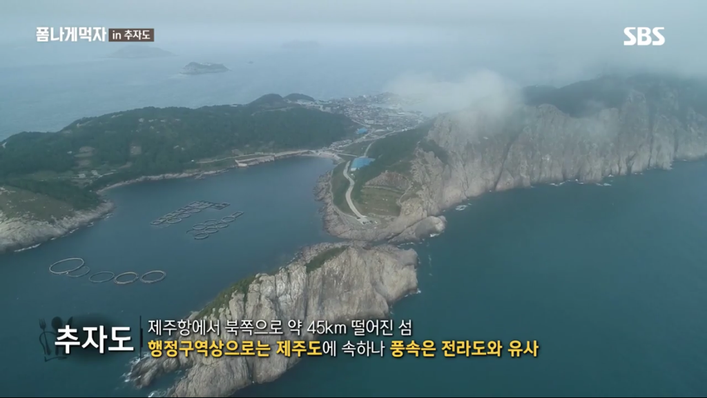 한국 예능 출연한 트와이스 정연X다현.jpg | 인스티즈