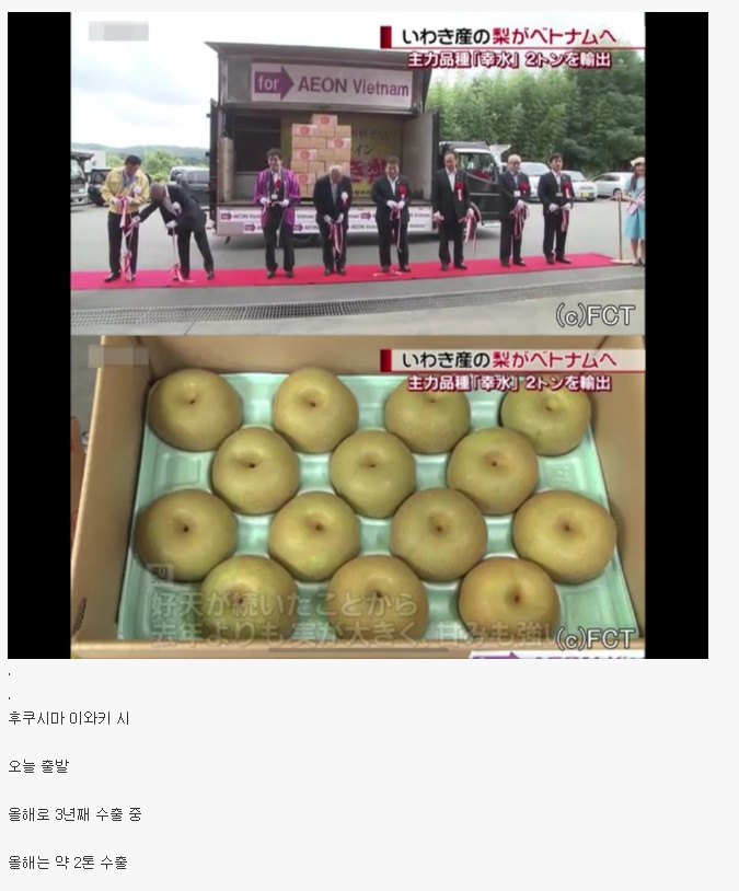 베트남에서 판매될 후쿠시마 배 | 인스티즈