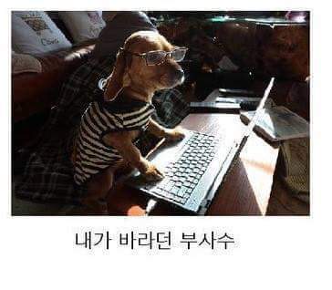 군대 행정병 공감 | 인스티즈