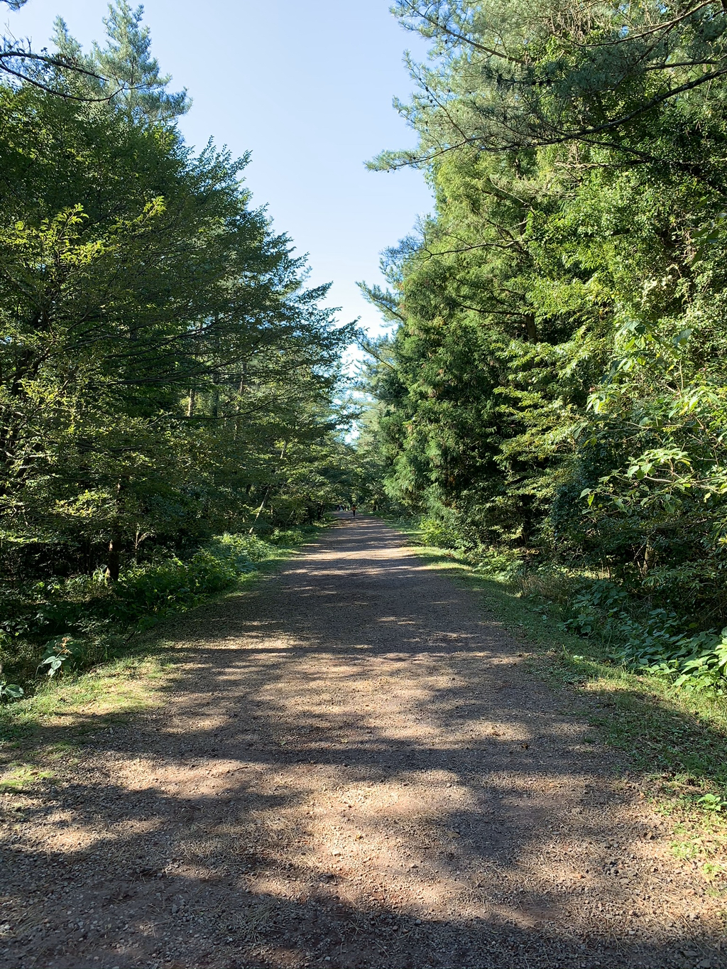 제주도 여행 마지막 날.. | 인스티즈