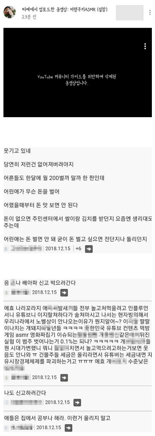 화제의 초등학생 유투버가 신고 테러를 당한 이유.jpg | 인스티즈