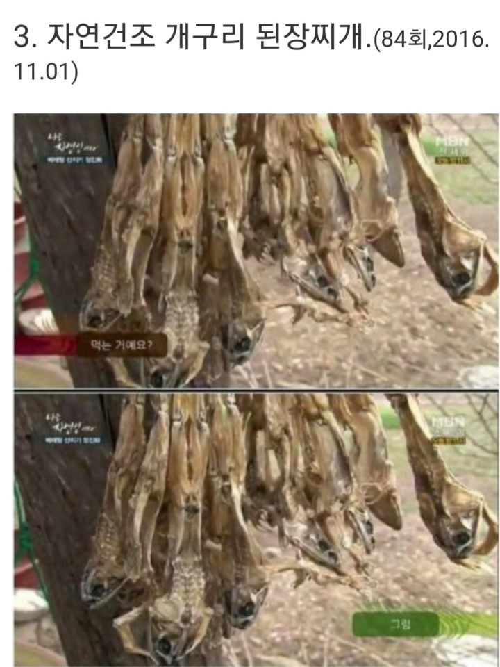 나는 자연인이다 5대 진미 | 인스티즈