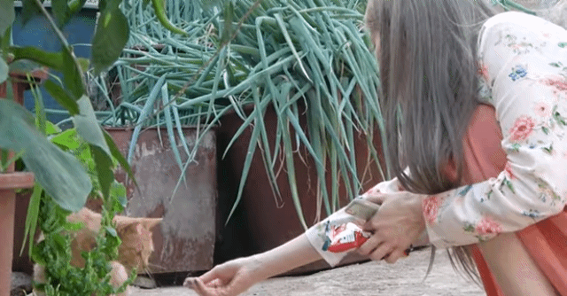 고양이와 교감실패한 프로미스나인 하영이.gif | 인스티즈